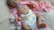www.bebe-reborn-creation.fr   (1)